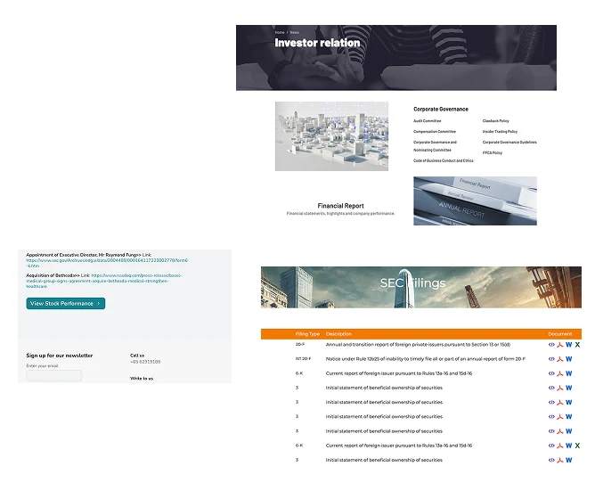 Screens from real investor relations site audits